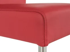 Freischwinger SERENA Esszimmerstühle|Freischwingerstühle