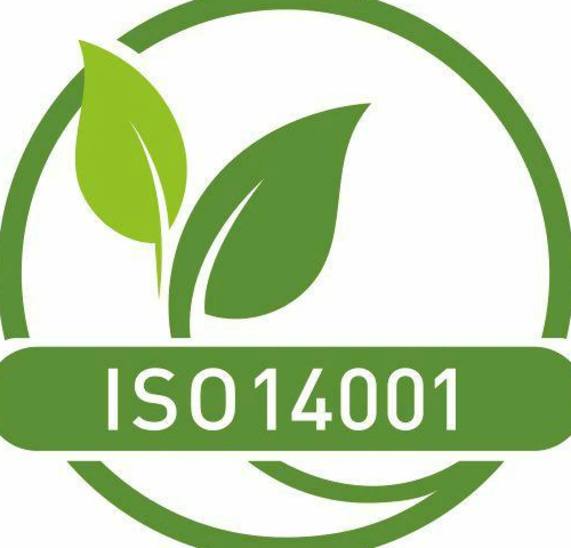 Sale Fußmatte Erbario Fußmatten|Fußmatten