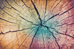 New Fußmatte WOOD Land Fußmatten|Fußmatten