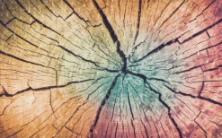 New Fußmatte WOOD Land Fußmatten|Fußmatten