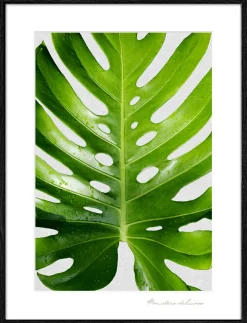 Hot Gerahmtes Bild AN771B25 Holzbilder