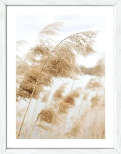 Outlet Gerahmtes Bild COAST III Holzbilder