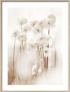 Best Gerahmtes Bild DRIED FIBER VII Holzbilder|Bilder