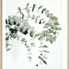 Sale Gerahmtes Bild EUCALYPTUS Holzbilder
