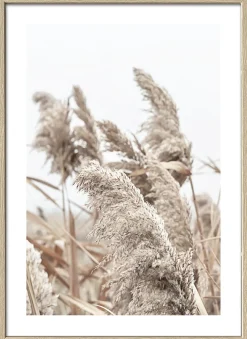 Online Gerahmtes Bild IN THE BREEZE Holzbilder