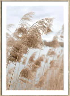 Discount Gerahmtes Bild IN THE BREEZE Holzbilder|Bilder