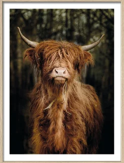 Sale Gerahmtes Bild SCOTTISH Holzbilder