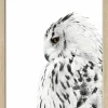 New Gerahmtes Bild SNOW OWL Holzbilder