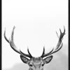 Outlet Gerahmtes-Bild GREY DEER HEAD Holzbilder