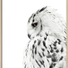 Clearance Gerahmtes-Bild SNOW OWL Holzbilder