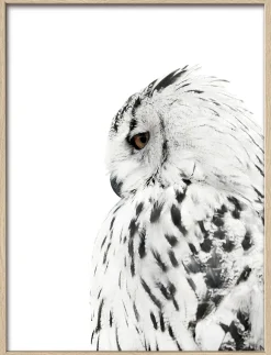 Clearance Gerahmtes-Bild SNOW OWL Holzbilder