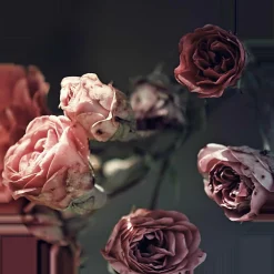 New Glasbild BEAUTIFUL ROSES Glasbilder