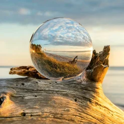 Discount Glasbild DROP ON WOOD Glasbilder