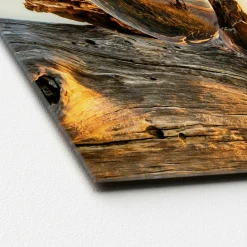 Discount Glasbild DROP ON WOOD Glasbilder