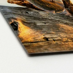 Discount Glasbild DROP ON WOOD Glasbilder