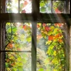 Discount Glasbild FENSTER MIT LAUB Glasbilder