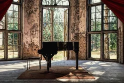 New Glasbild FLÜGEL Glasbilder|Bilder