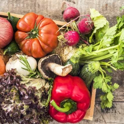 Outlet Glasbild GEMÜSE II Glasbilder