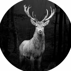 Outlet Glasbild GREY DEER HEAD Glasbilder