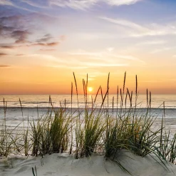 Best Glasbild LONELY DUNE Glasbilder