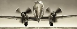 Sale Glasbild PLANE III Glasbilder|Bilder