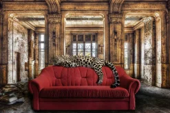 Clearance Glasbild RELAXING LEO Glasbilder