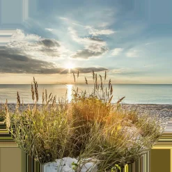 Discount Glasbild WILDER STRAND Glasbilder