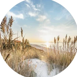 Online Glasbild WILDER STRAND III Glasbilder|Bilder