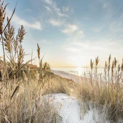 Online Glasbild WILDER STRAND III Glasbilder