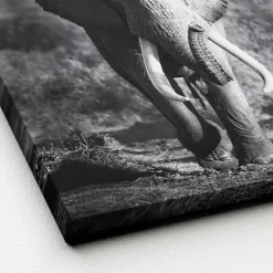 Online Keilrahmenbild ELEPHANT HEAD Keilrahmenbilder