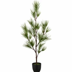 Best Kiefernbaum Weihnachtsbäume