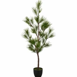 Sale Kiefernbaum Weihnachtsbäume