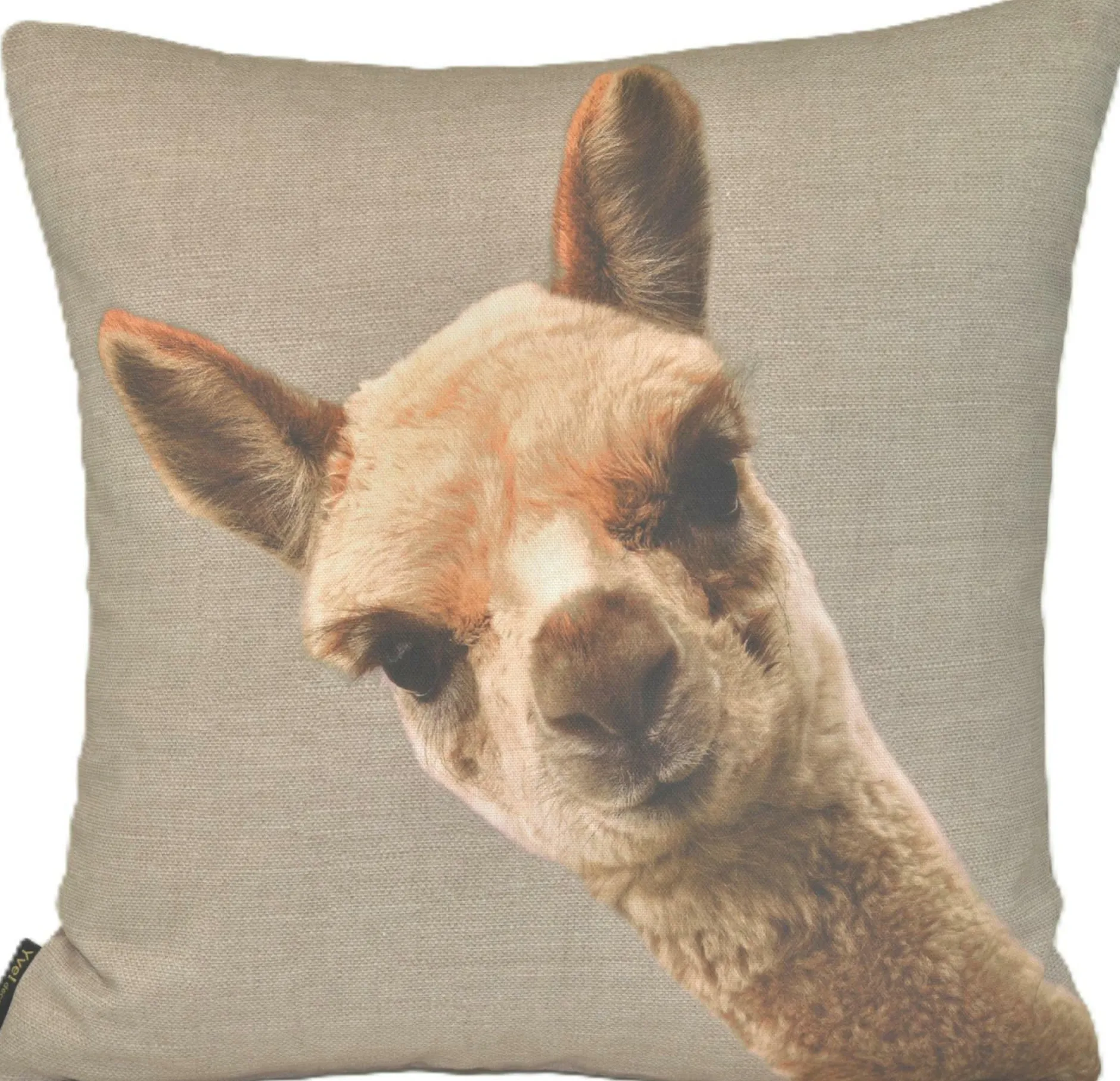 Online Kissen ALPAKA EDITH Kissen