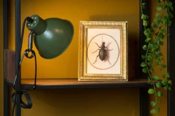 Sale Klemmleuchte MOYS Klemmleuchten