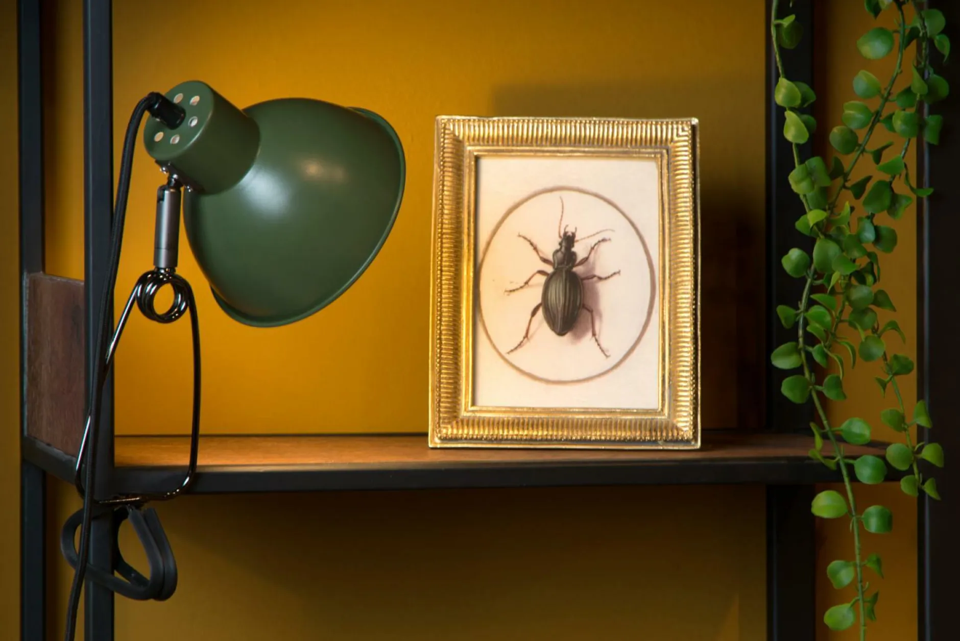 Sale Klemmleuchte MOYS Klemmleuchten