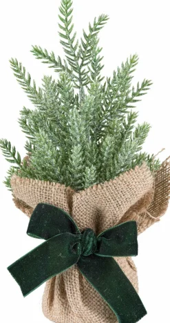 Online Koniferenbäumchen Weihnachtsbäume