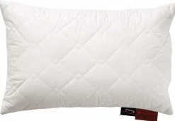 Online Kopfkissen ROYAL Kopfkissen|Kissen