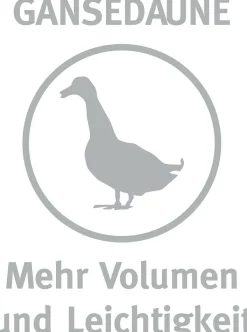 Kopfkissen MALEA Kopfkissen|Kissen