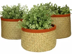 Online Korb SEEGRAS Korbwaren|Aufbewahrung