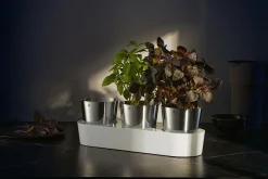 Sale Kräutergarten 3 teilig Küchenhelfer