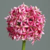 Hot Kunstblume Allium Pflanzen