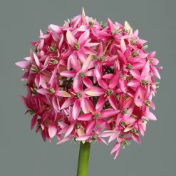 Hot Kunstblume Allium Pflanzen