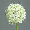 Best Kunstblume Allium Pflanzen