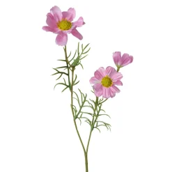 Online Kunstblume COSMEA Pflanzen