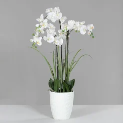 Kunstblume Orchidee Pflanzen