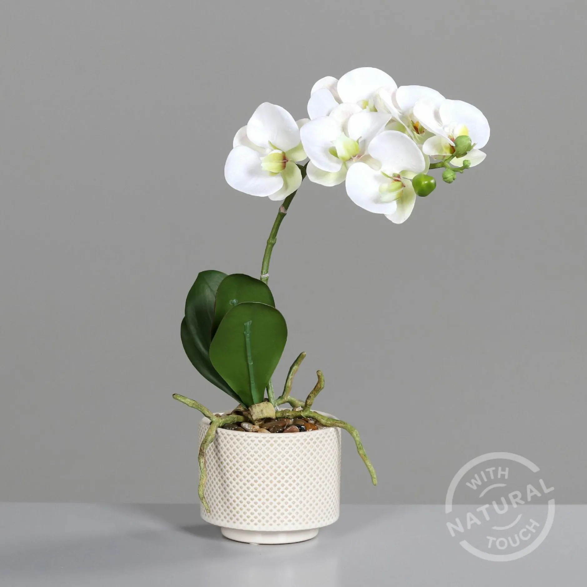 Online Kunstblume Orchidee Pflanzen