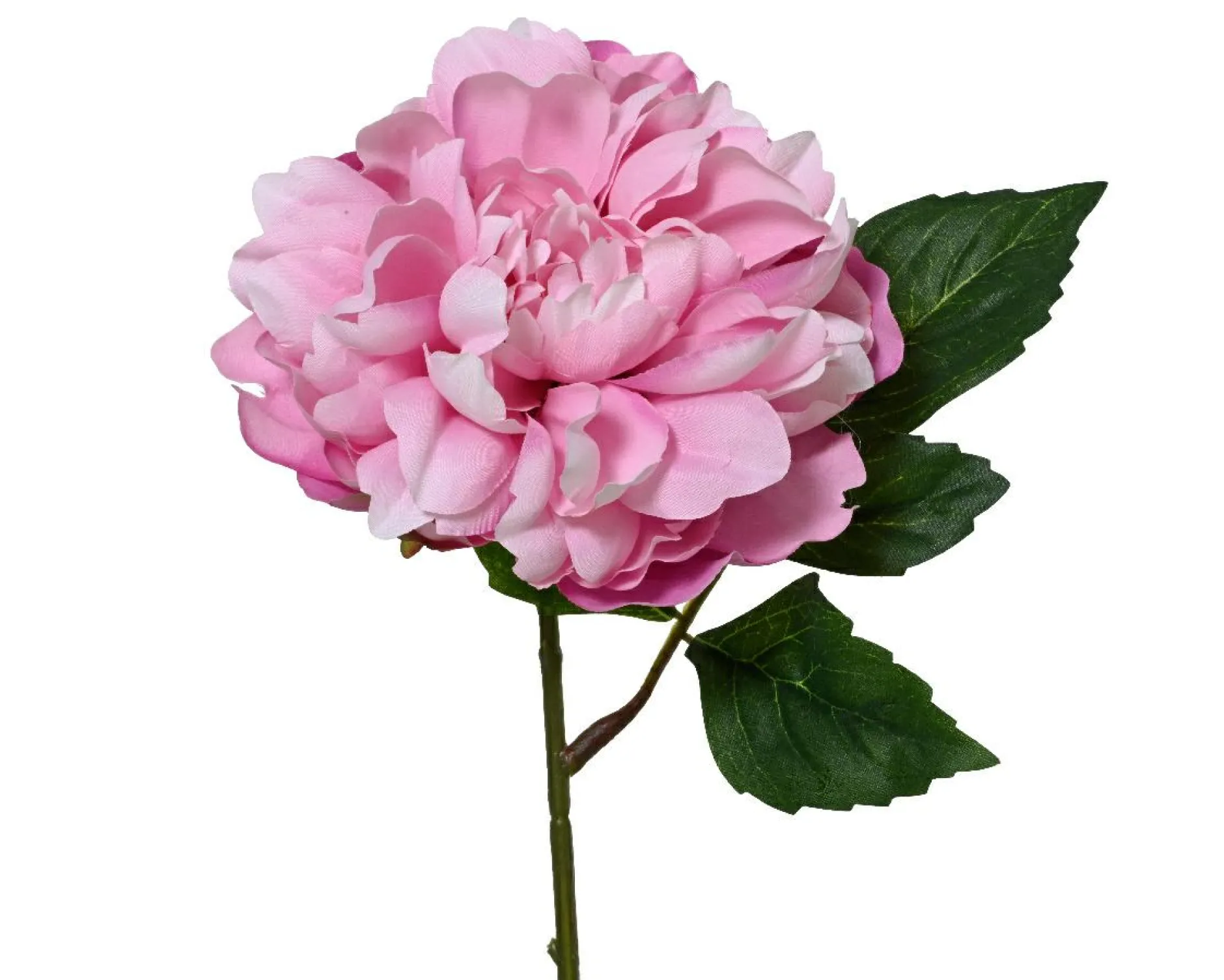 Online Kunstblume PFINGSTROSE Pflanzen