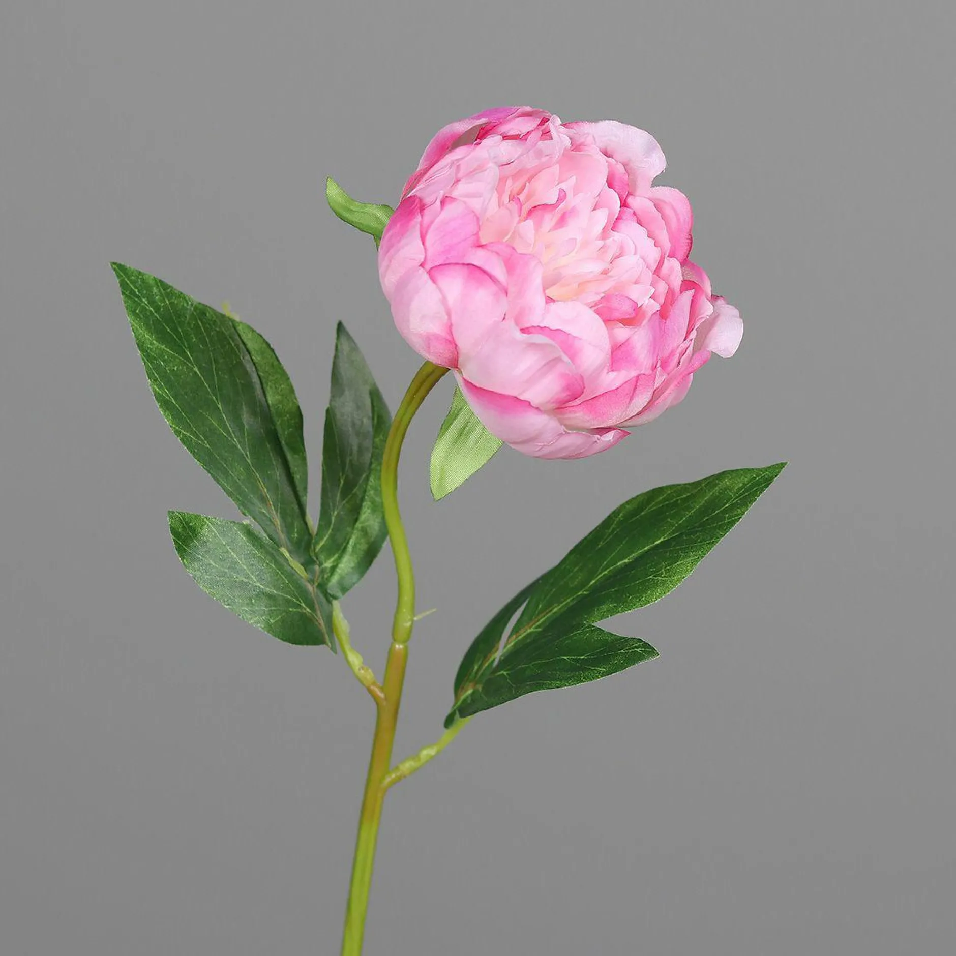 Clearance Kunstblume PÄONIE Pflanzen