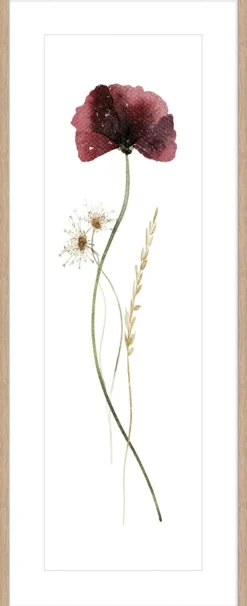 Clearance Kunstdruck WILD FLOWERS I Kunstdrucke