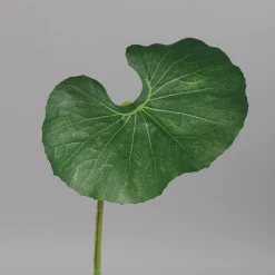 Online Kunstpflanze Begonienblatt Pflanzen